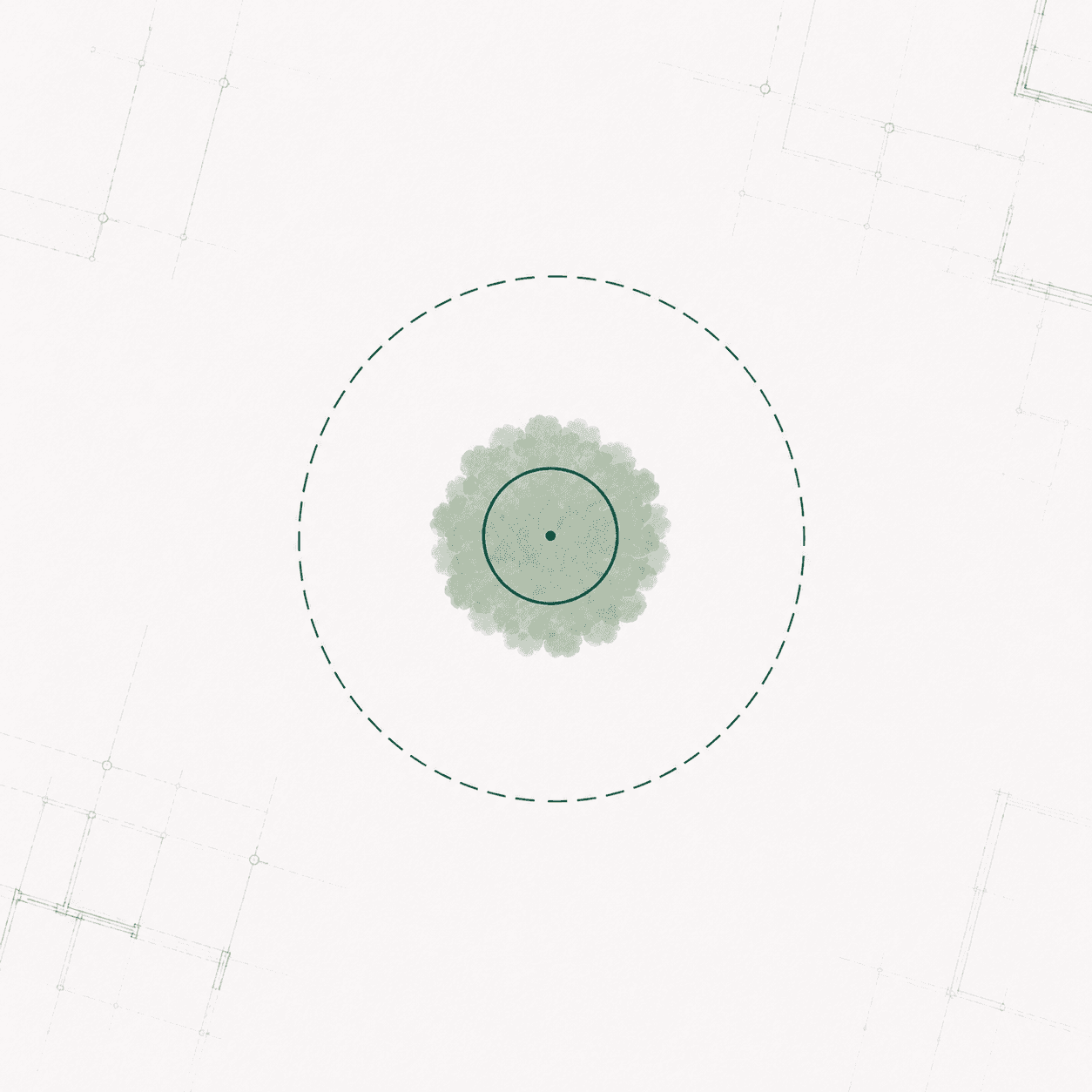 Plan-view tree canopy with a small solid SRZ ring at the stem and a larger dashed NRZ ring around it.
