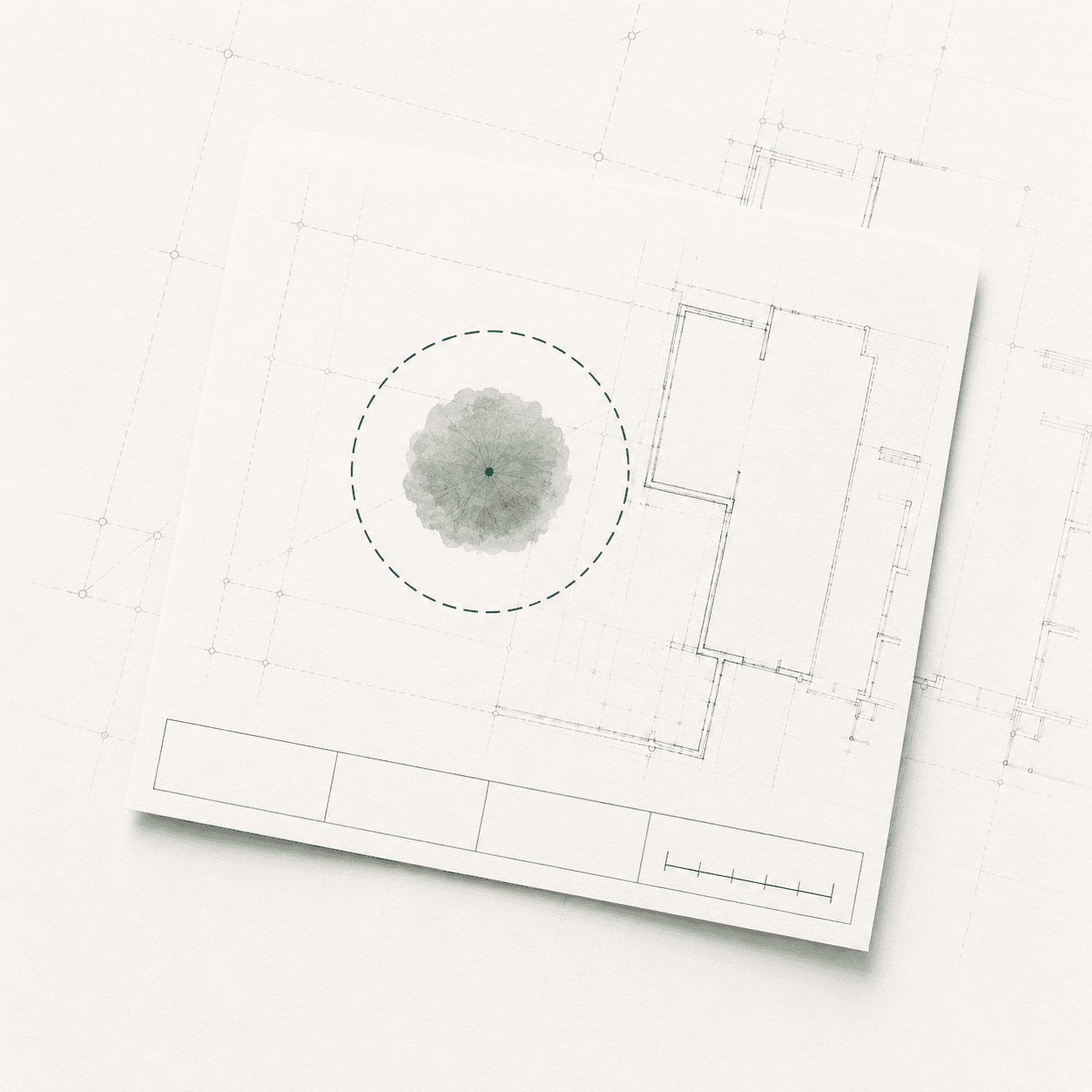 Completed tree plan sheet with a plan-view tree, a dashed NRZ ring, an empty title block and a tick-marked scale bar.